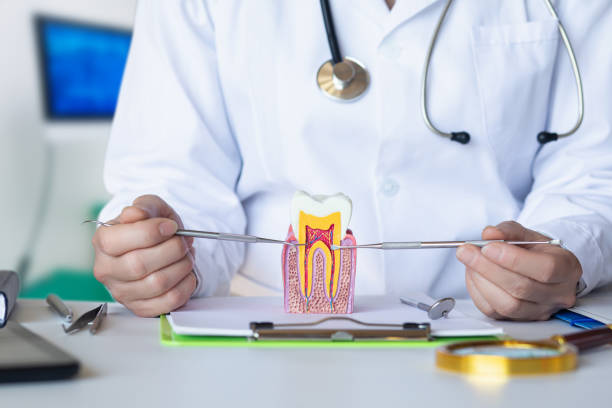 Best Urgent Dental Care in Bridgeport, IL